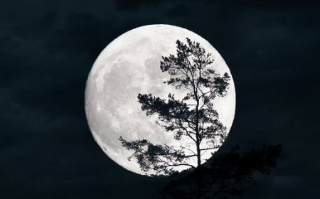 Moon Psychology: How Your Nakshatra Controls Your Emotions