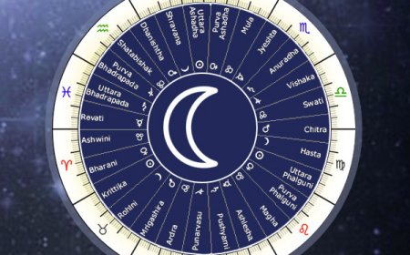Why Two People with the Same Zodiac Live Completely Different Lives